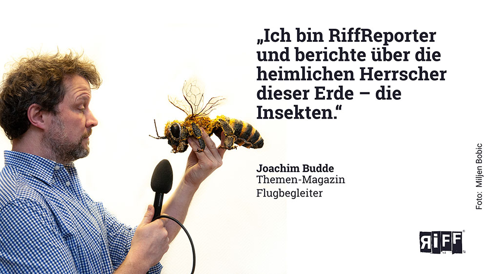 Joachim Budde